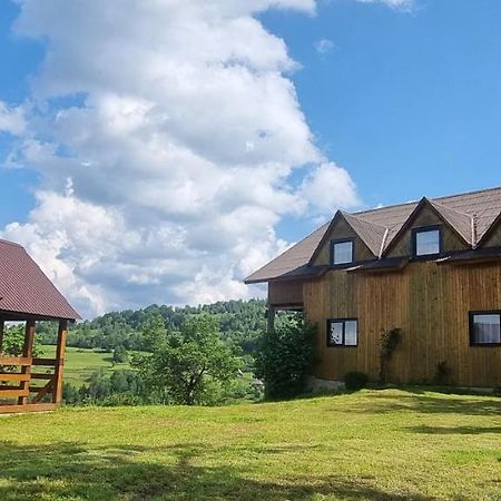 Cabana Suciu Villa Rachitele Dış mekan fotoğraf