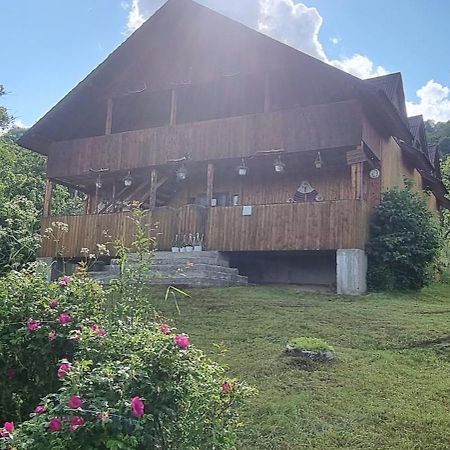 Cabana Suciu Villa Rachitele Dış mekan fotoğraf