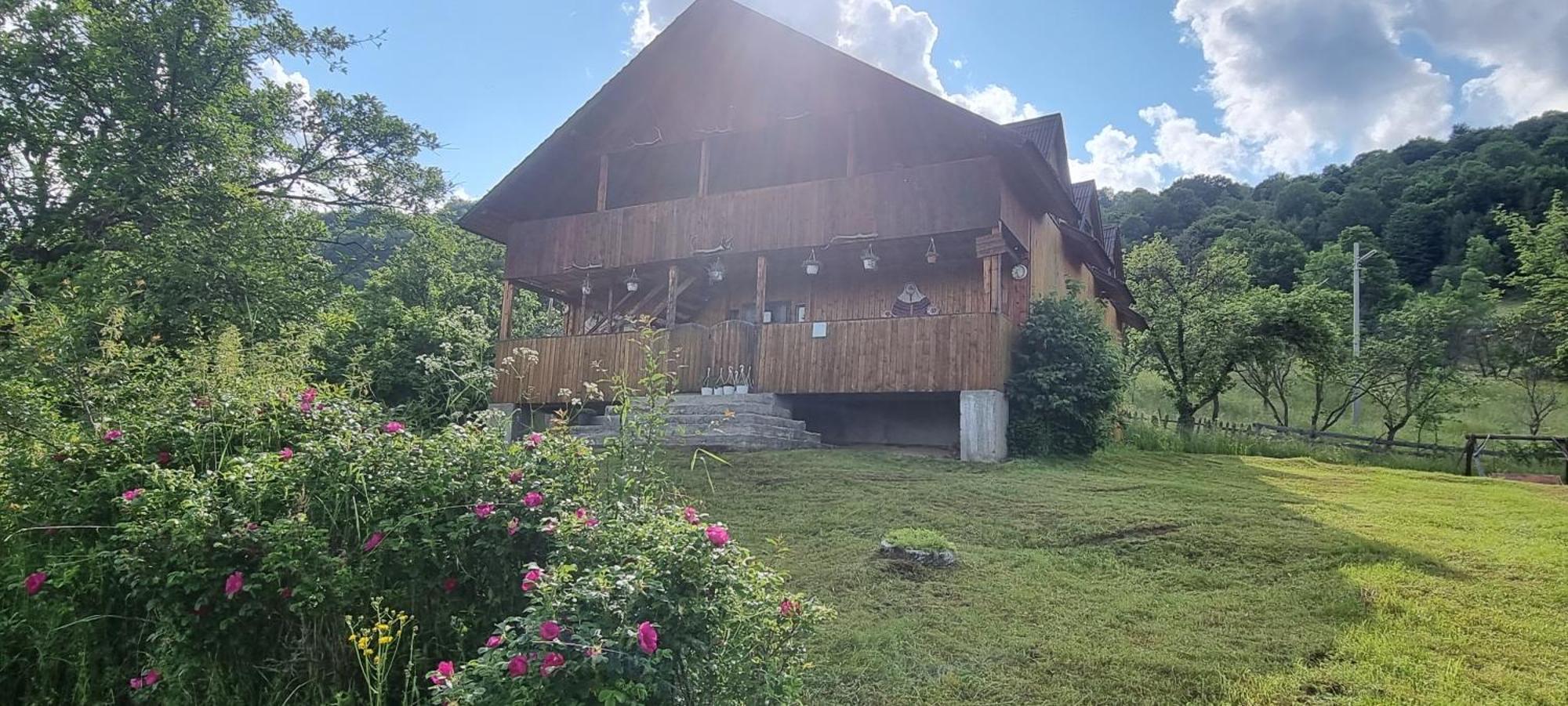 Cabana Suciu Villa Rachitele Dış mekan fotoğraf