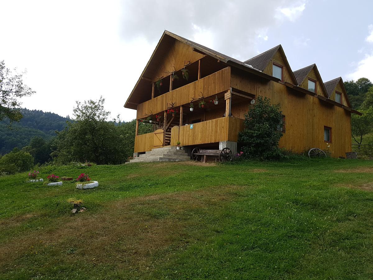 Cabana Suciu Villa Rachitele Dış mekan fotoğraf