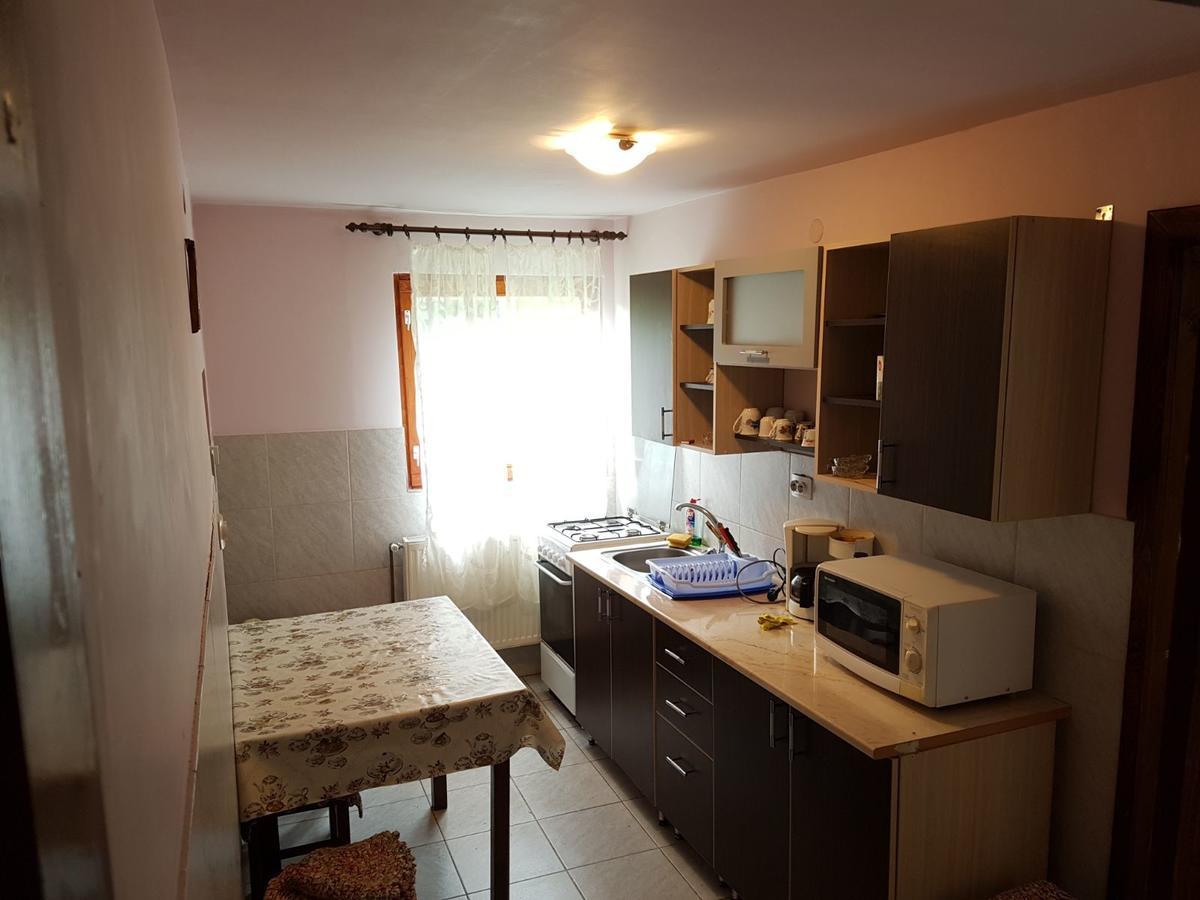 Cabana Suciu Villa Rachitele Dış mekan fotoğraf