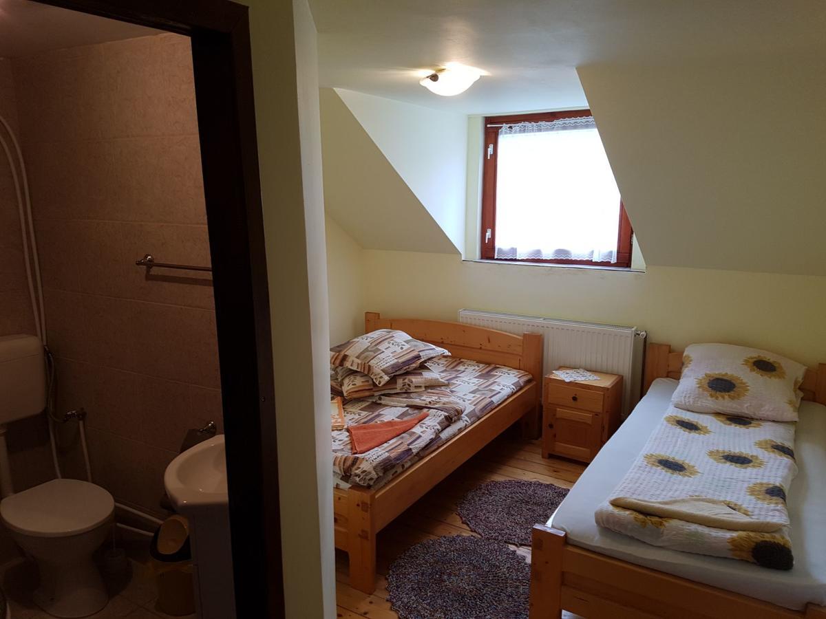 Cabana Suciu Villa Rachitele Dış mekan fotoğraf