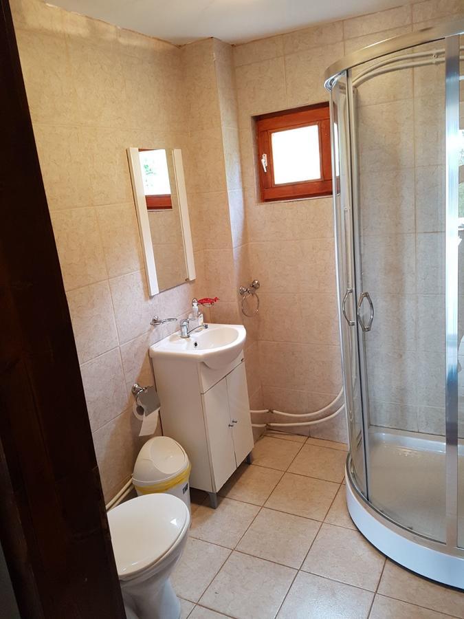 Cabana Suciu Villa Rachitele Dış mekan fotoğraf