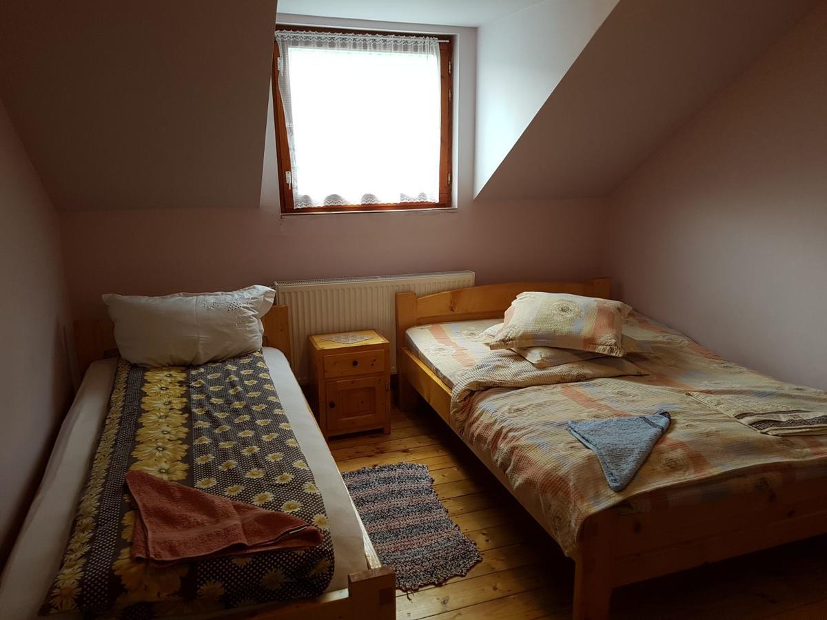 Cabana Suciu Villa Rachitele Dış mekan fotoğraf