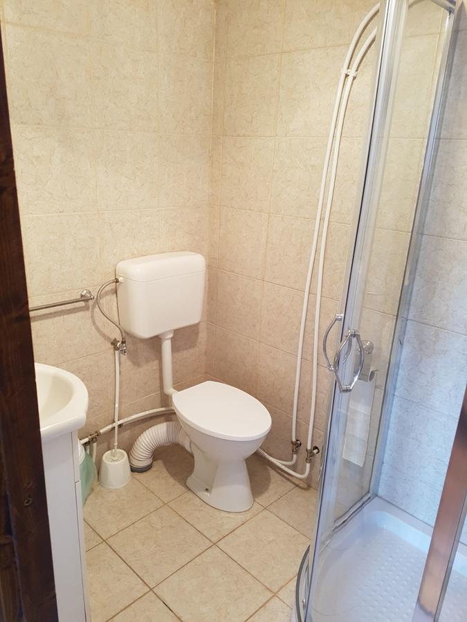 Cabana Suciu Villa Rachitele Dış mekan fotoğraf