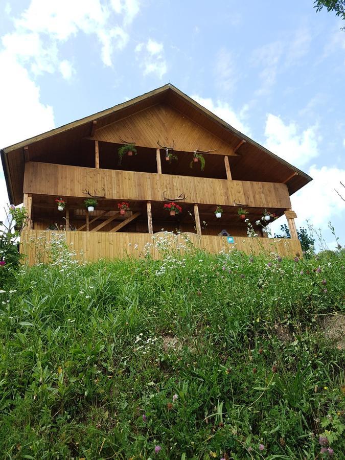 Cabana Suciu Villa Rachitele Dış mekan fotoğraf