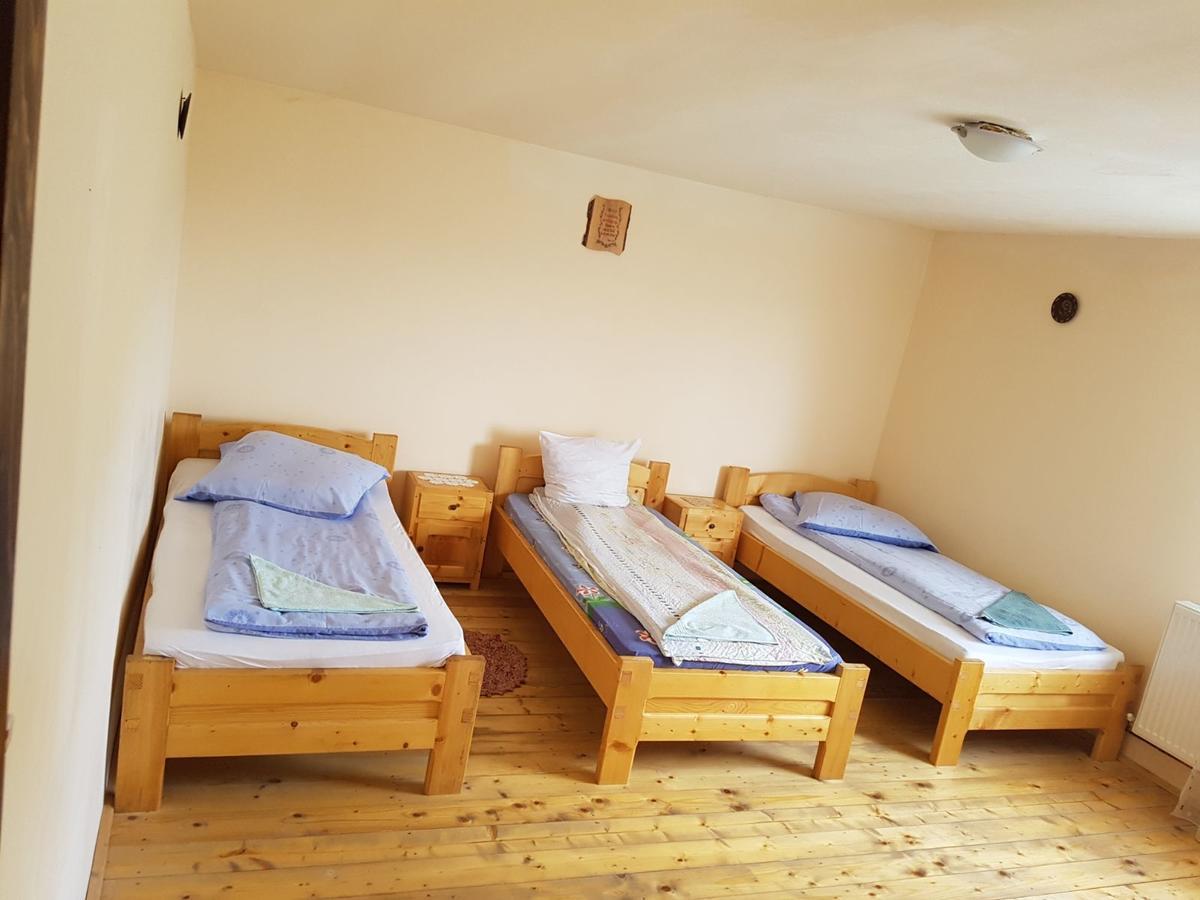 Cabana Suciu Villa Rachitele Dış mekan fotoğraf