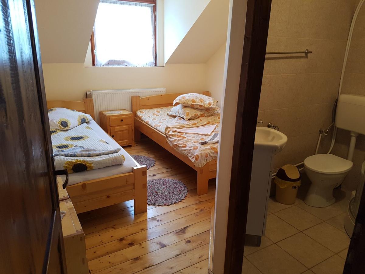 Cabana Suciu Villa Rachitele Dış mekan fotoğraf