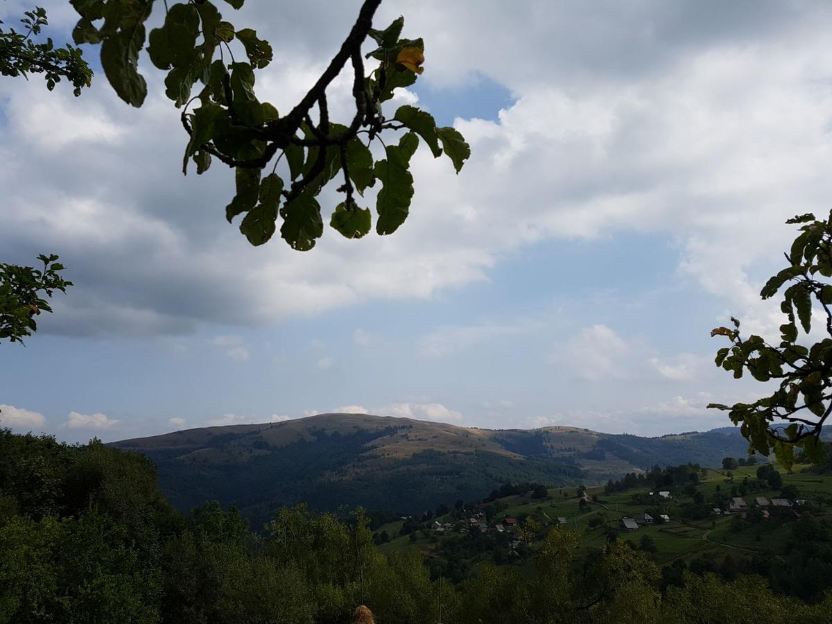 Cabana Suciu Villa Rachitele Dış mekan fotoğraf